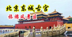 爆操嫩模在线观看中国北京-东城古宫旅游风景区